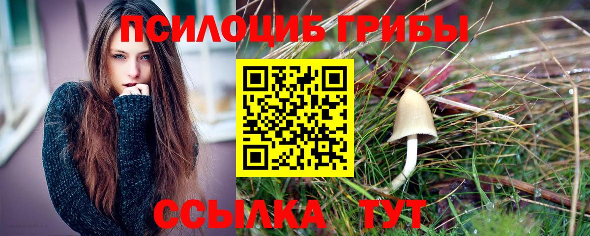 Азнакаево  Галлюциногенные грибы мицелий  Вход с VPN 